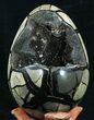 Septarian Dragon Egg Geode With Removable Section #34690-2